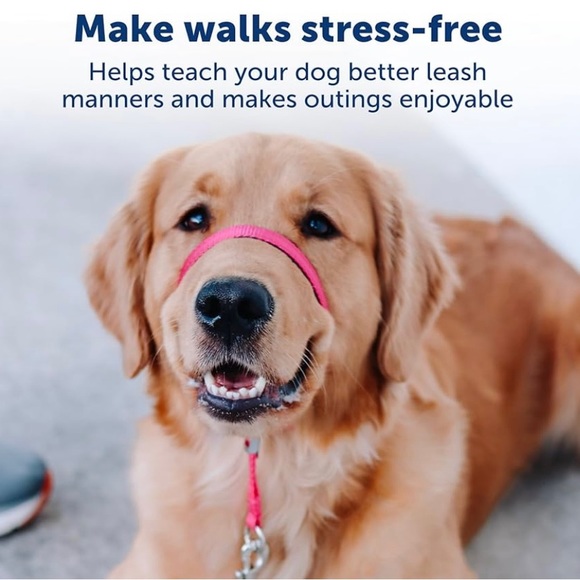 PETSAFE gentle leader dog training collar. Never used. Size medium - Picture 3 of 7